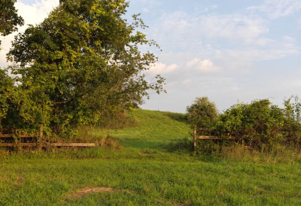 Photo of Outdoor in Town of Marbletown