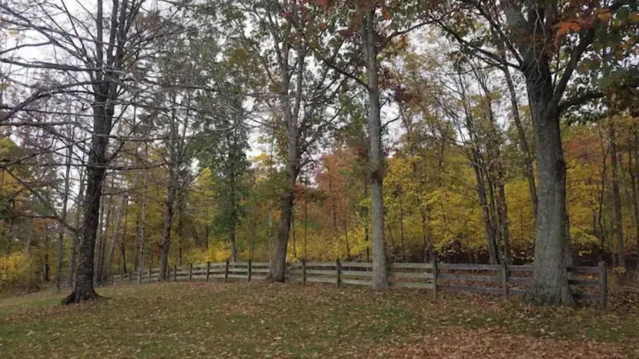 Photo of Outdoor in Harper
