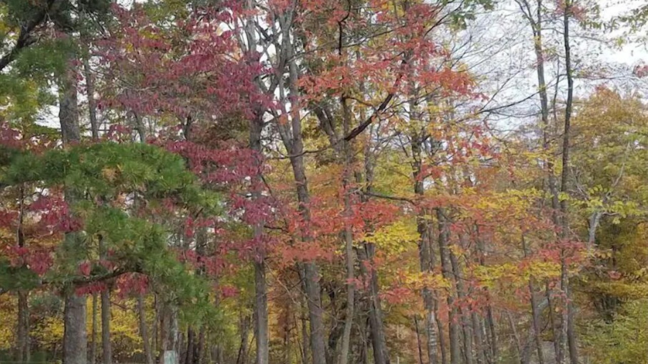Photo of Outdoor in Harper