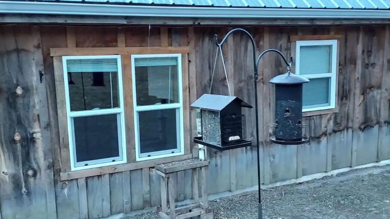 Photo of Outdoor in Harper
