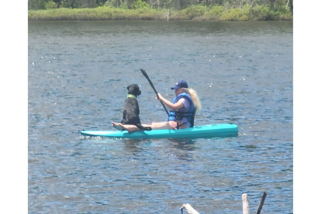 Photo of Others in Stewartstown