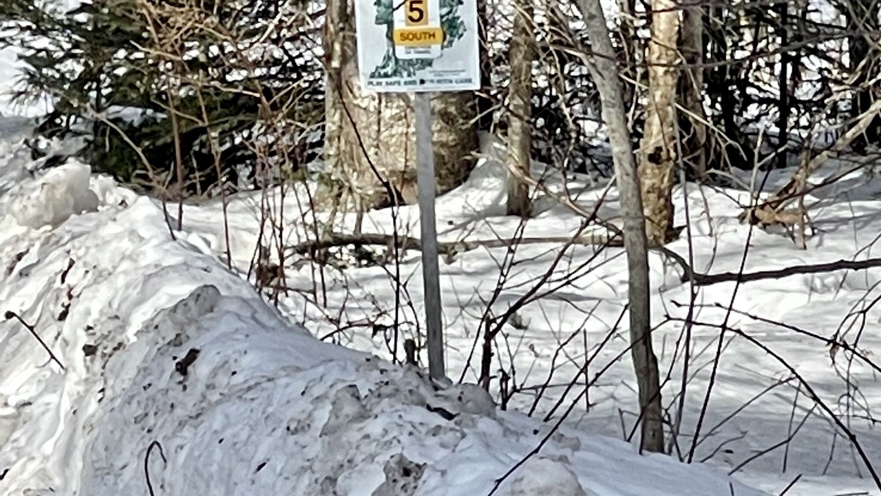 Photo of Outdoor in Stark