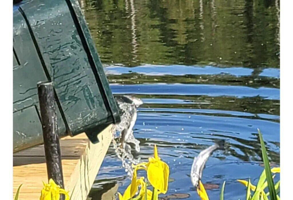 Photo of Others in Stewartstown