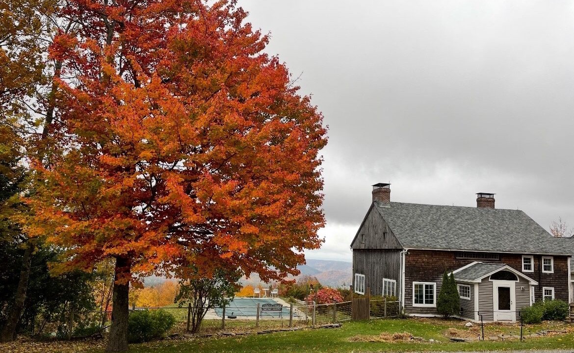 Photo of Outdoor in West Dover