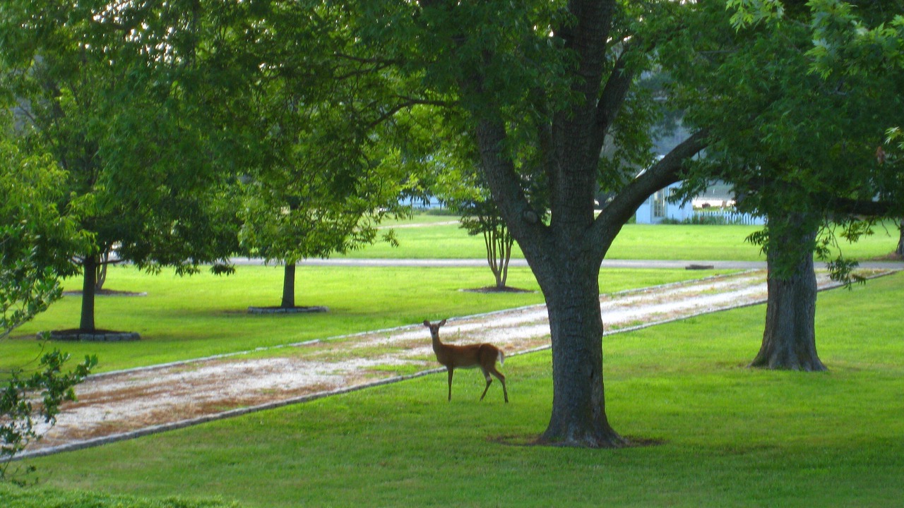 Photo of Others in Onancock
