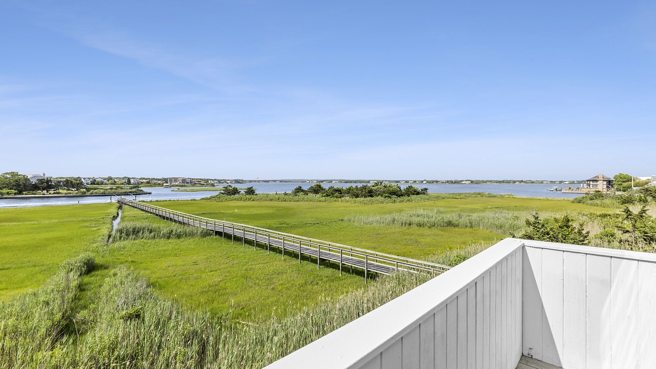 Photo of Outdoor in Westhampton Beach