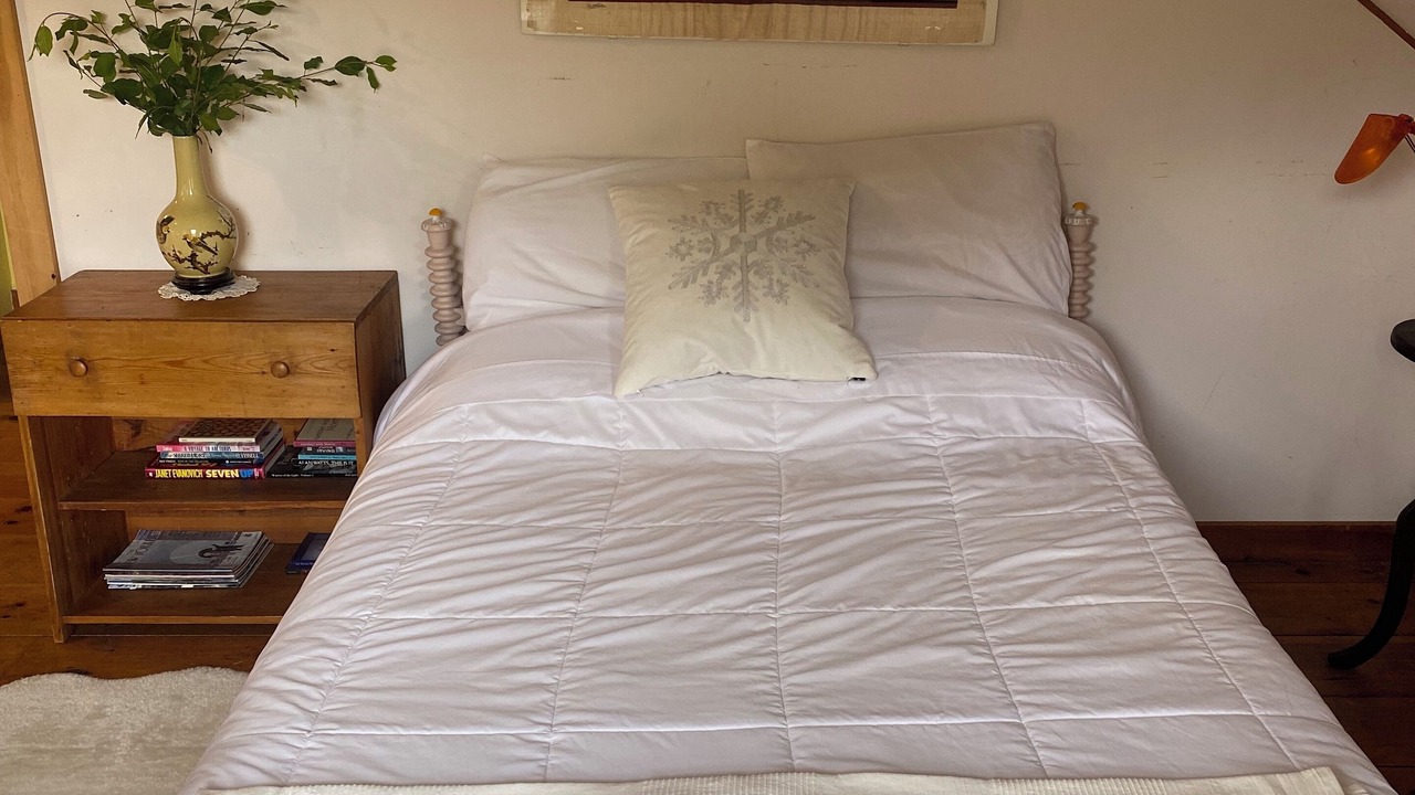 Photo of Bedroom in Williamsville