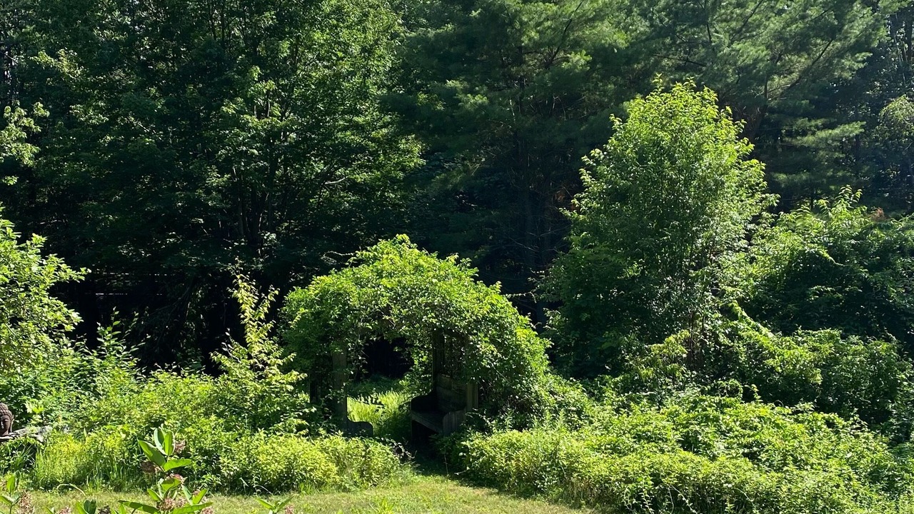 Photo of Others in Williamsville