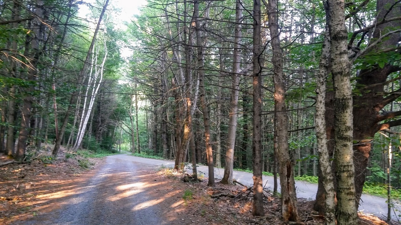 Photo of Outdoor in Williamsville
