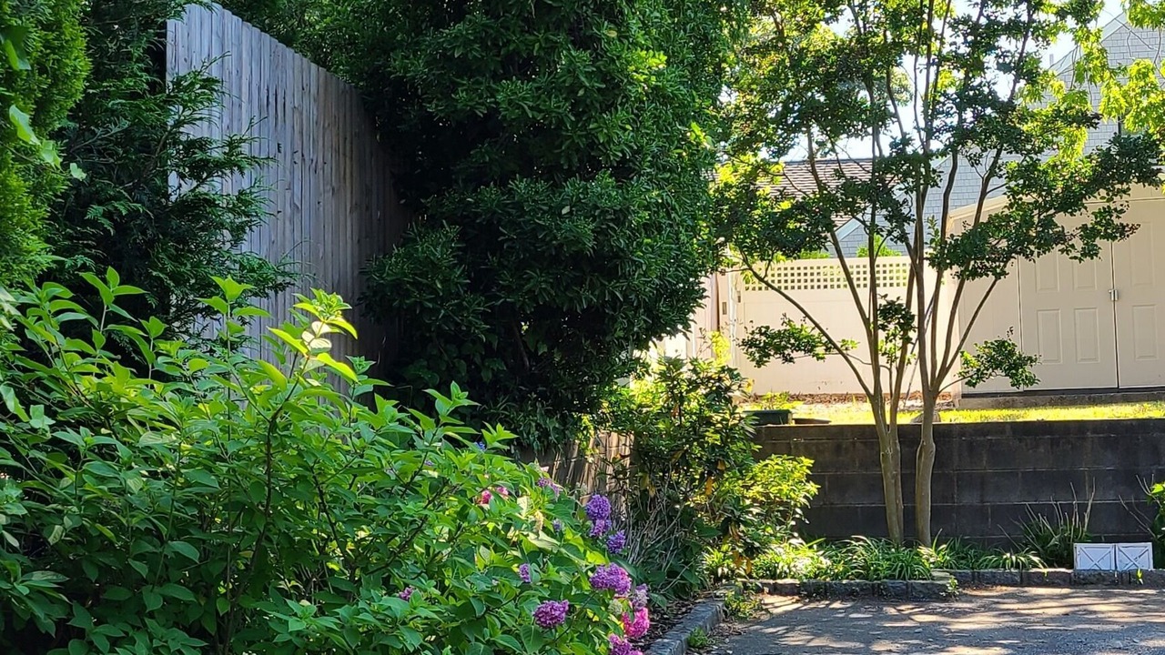 Photo of Outdoor in Sag Harbor