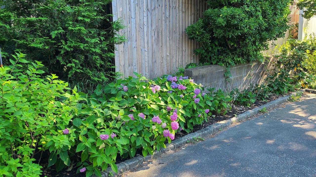Photo of Outdoor in Sag Harbor