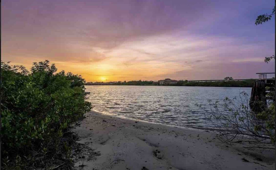 Photo of Others in Greater Palm River Point CDC