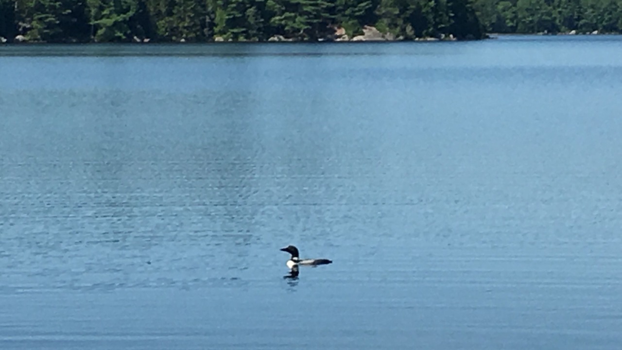 Photo of Outdoor in Sullivan
