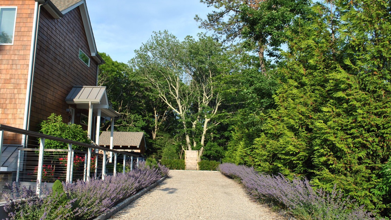 Photo of Outdoor in East Hampton