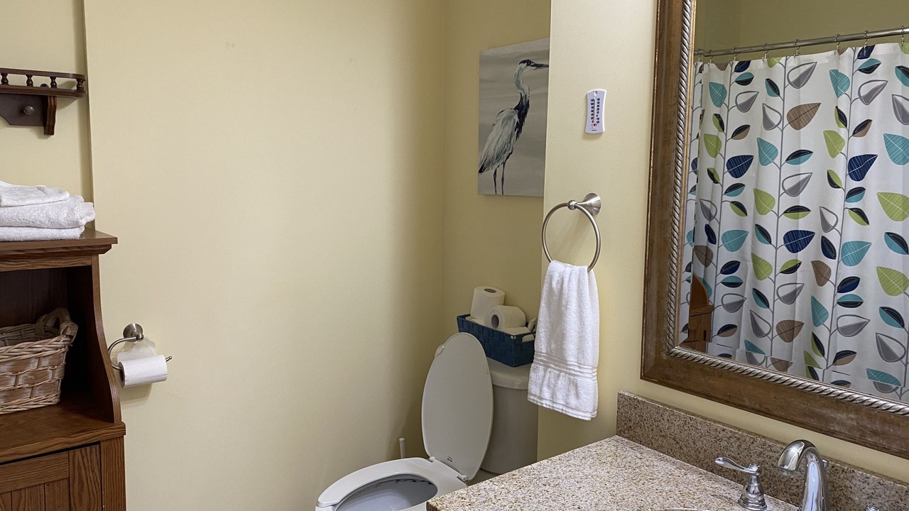 Photo of Bathroom in Seabrook