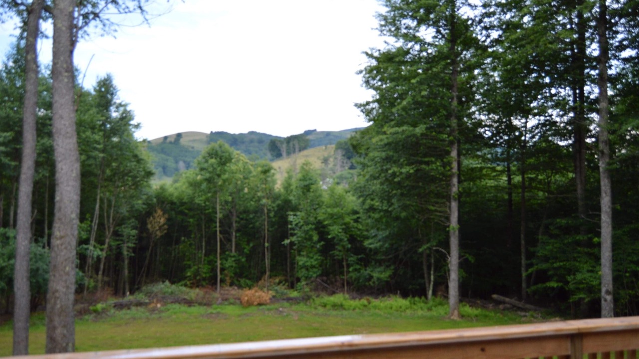 Photo of Outdoor in Harman