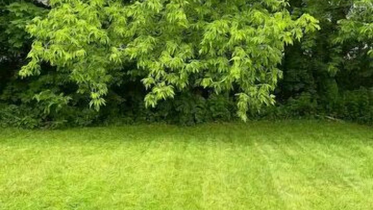 Photo of Outdoor in Winooski