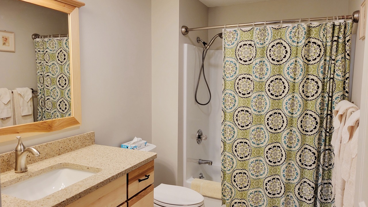 Photo of Bathroom in Bartlett
