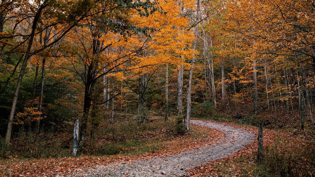 Photo of Others in Slaty Fork