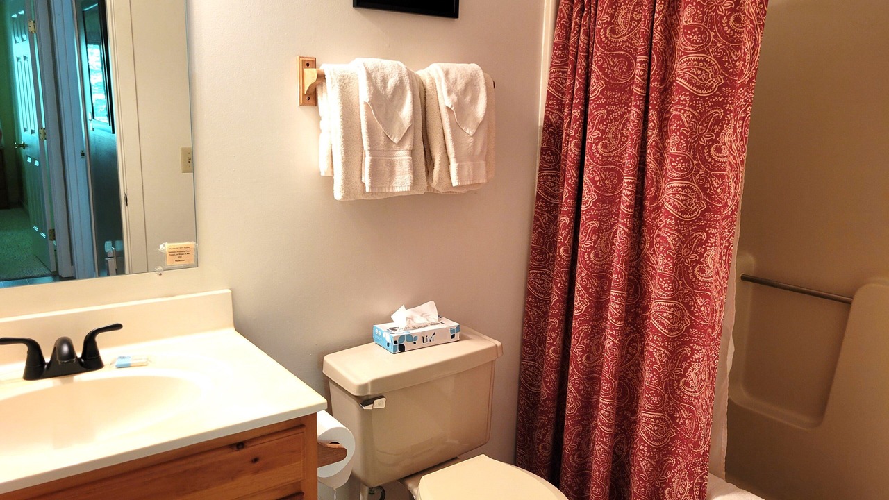 Photo of Bathroom in Bartlett