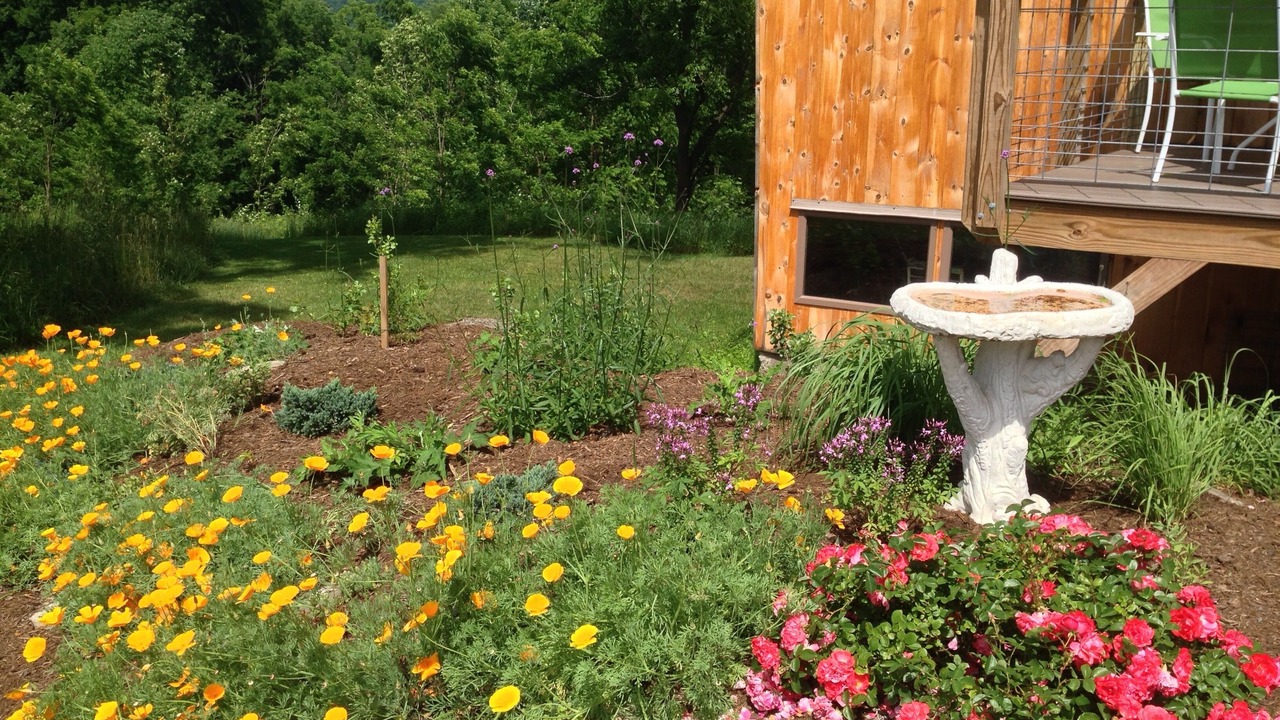Photo of Patio Balcony in Newfield