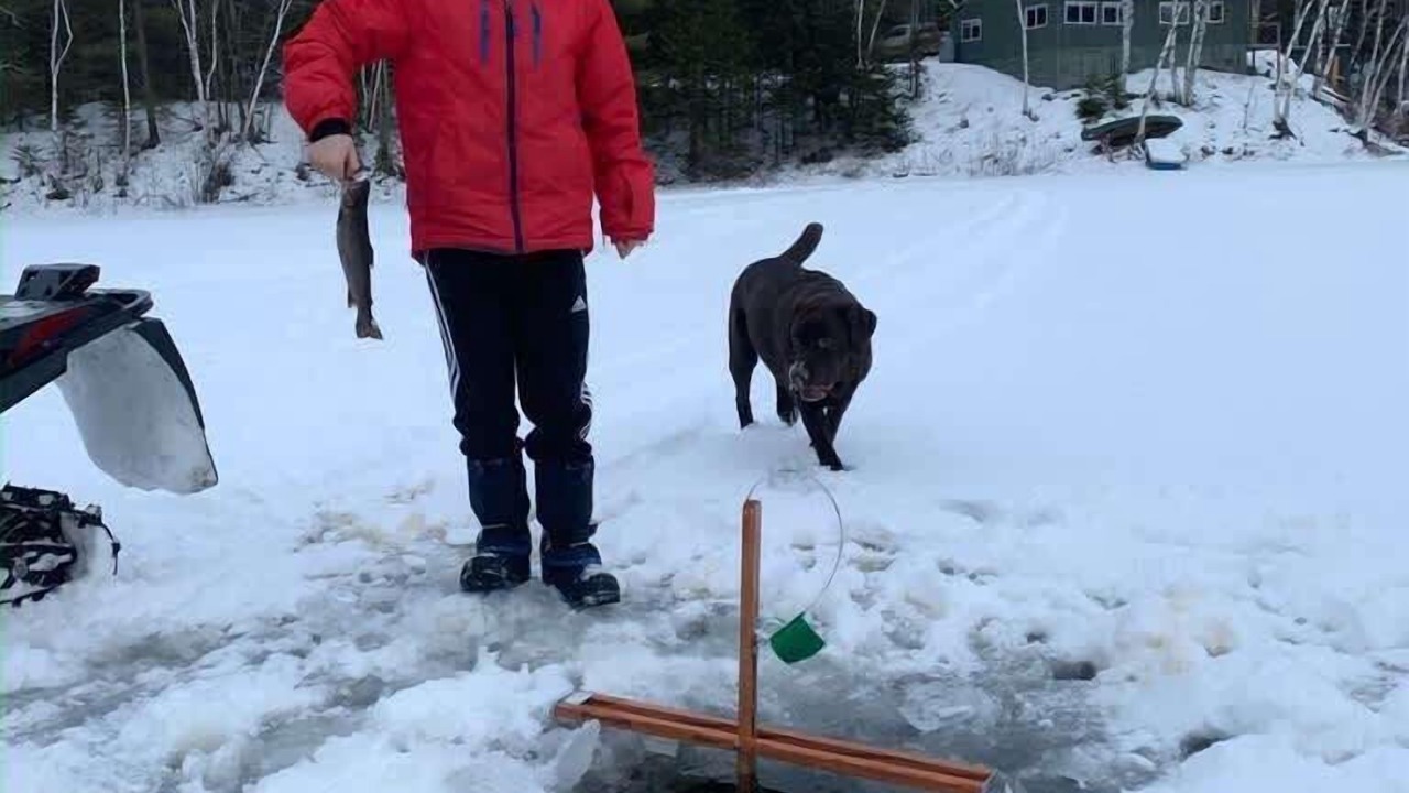 Photo of Others in North Penobscot