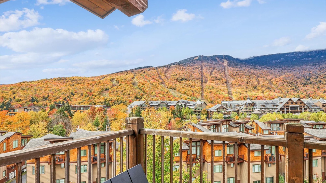 Photo of Outdoor in Stowe Area