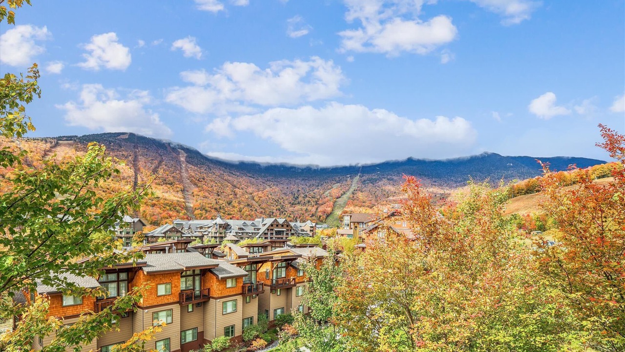 Photo of Outdoor in Stowe Area