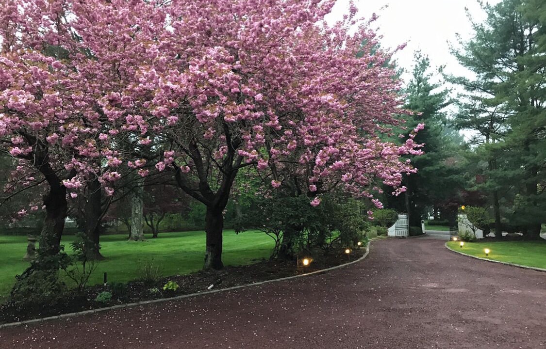 Photo of Outdoor in Old Brookville