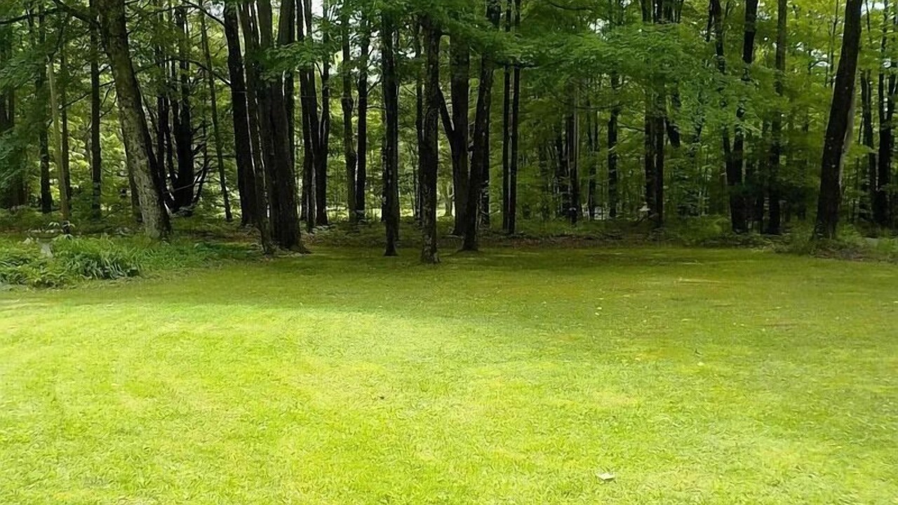 Photo of Others in Oneonta