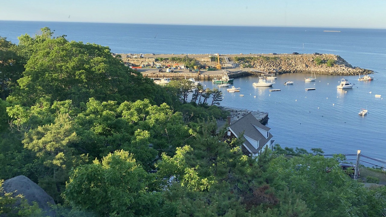 Photo of Others in Rockport