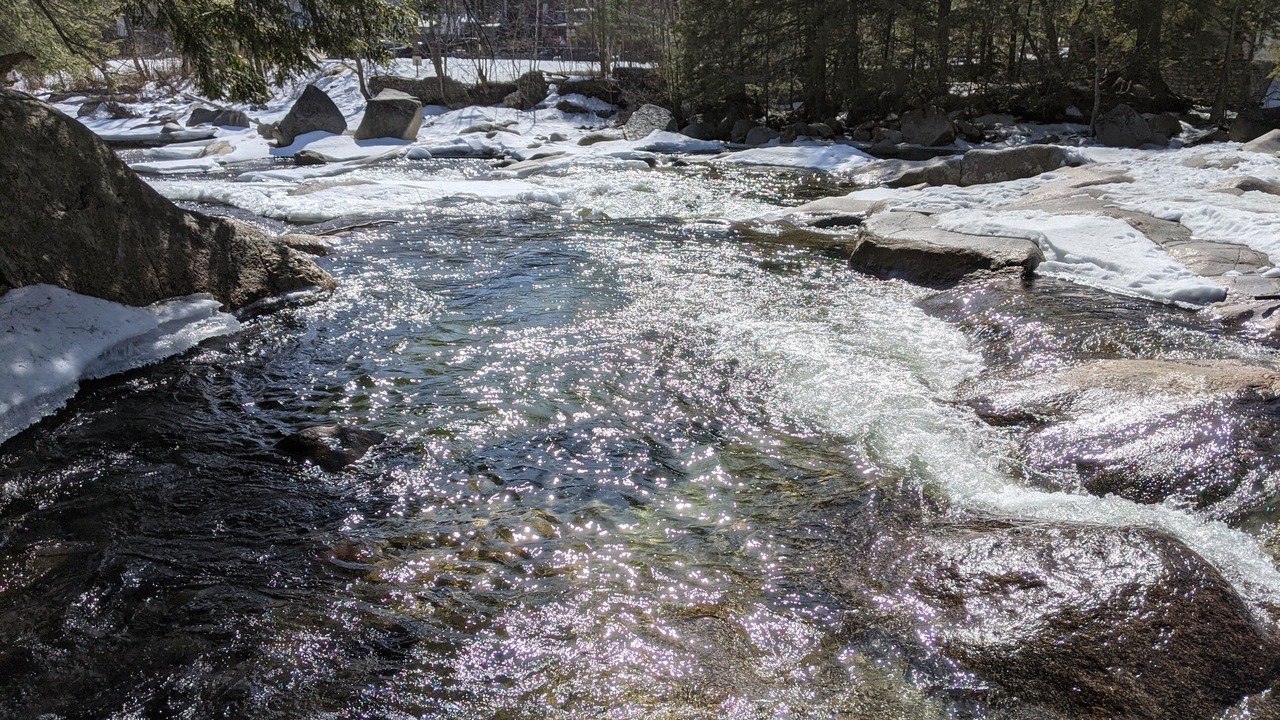 Photo of Others in North Woodstock
