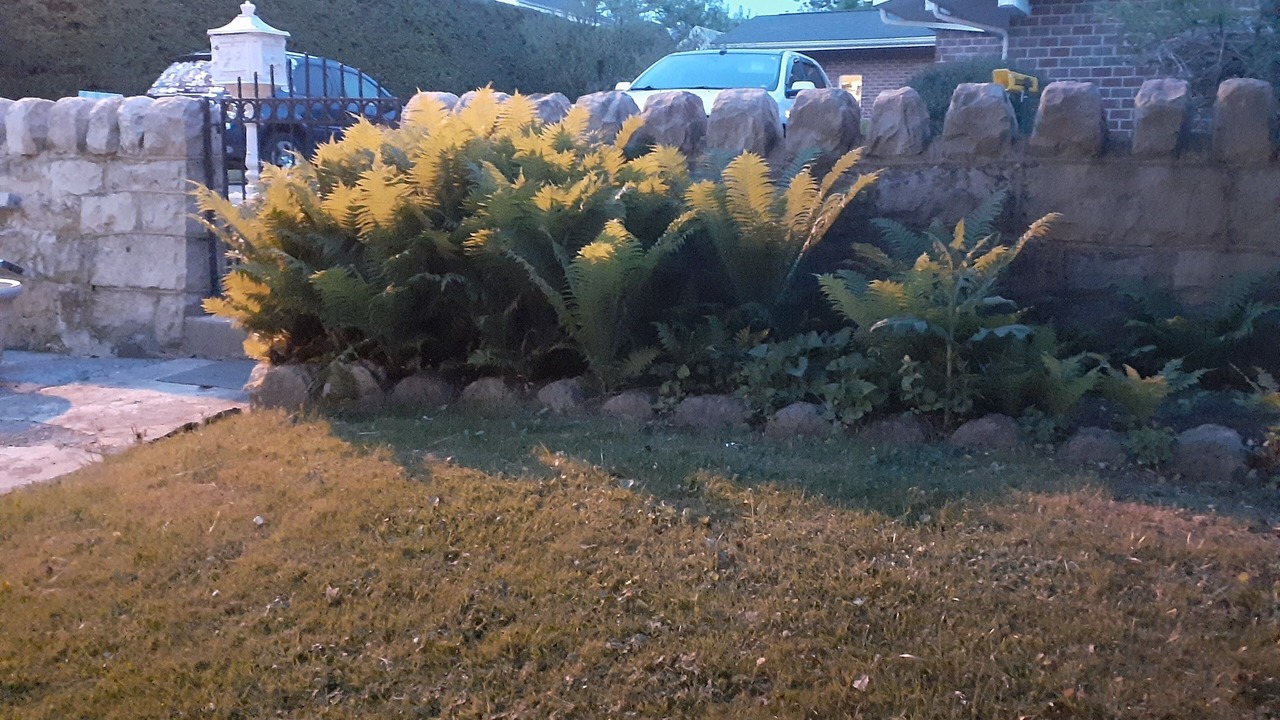 Photo of Outdoor in Wise