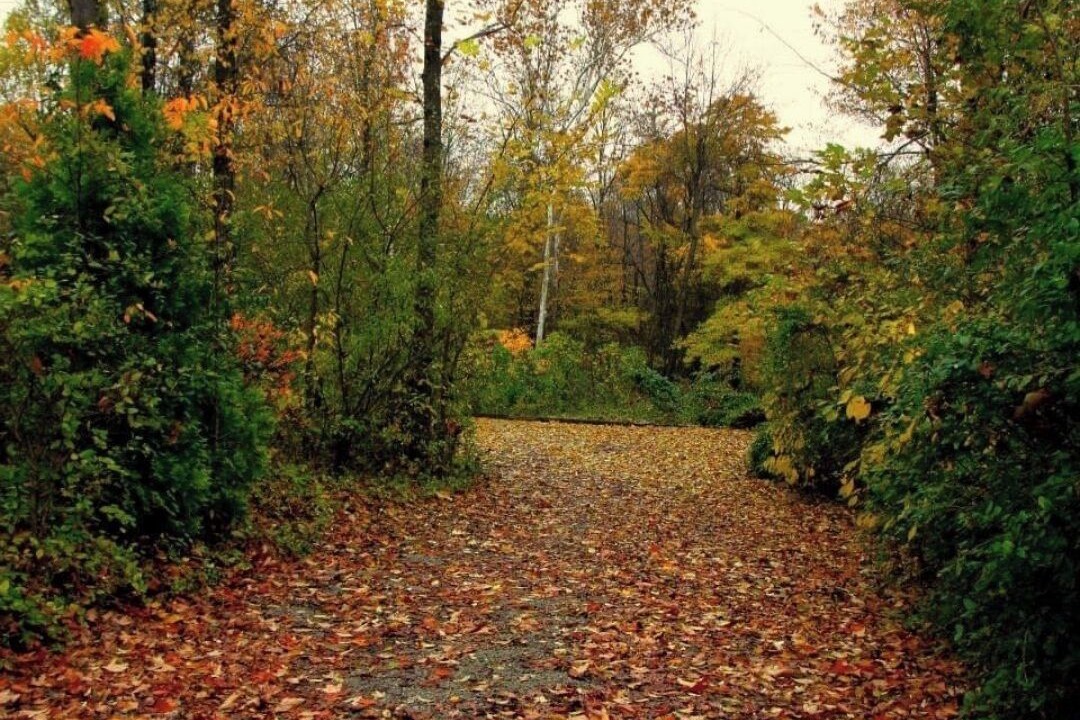Photo of Outdoor in Hillsboro