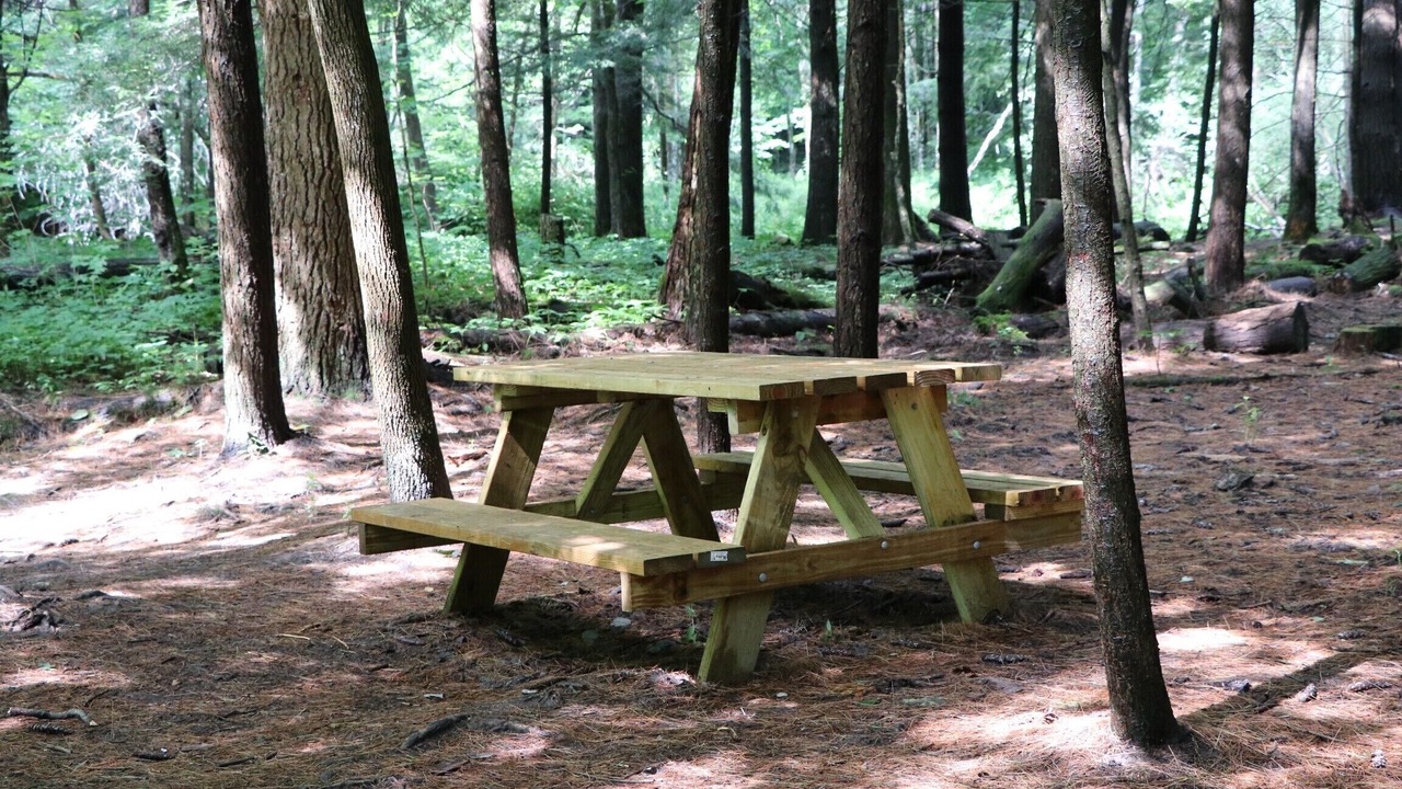 Photo of Outdoor in Dorset