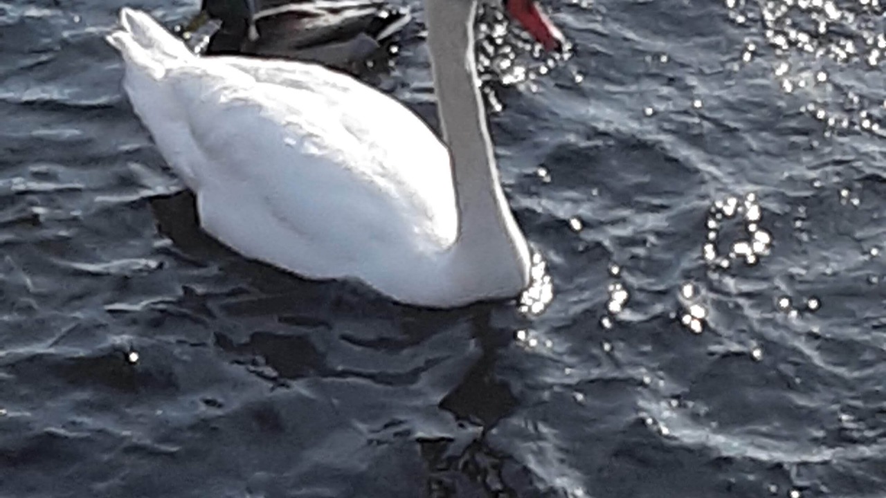 Photo of Others in Lily Dale