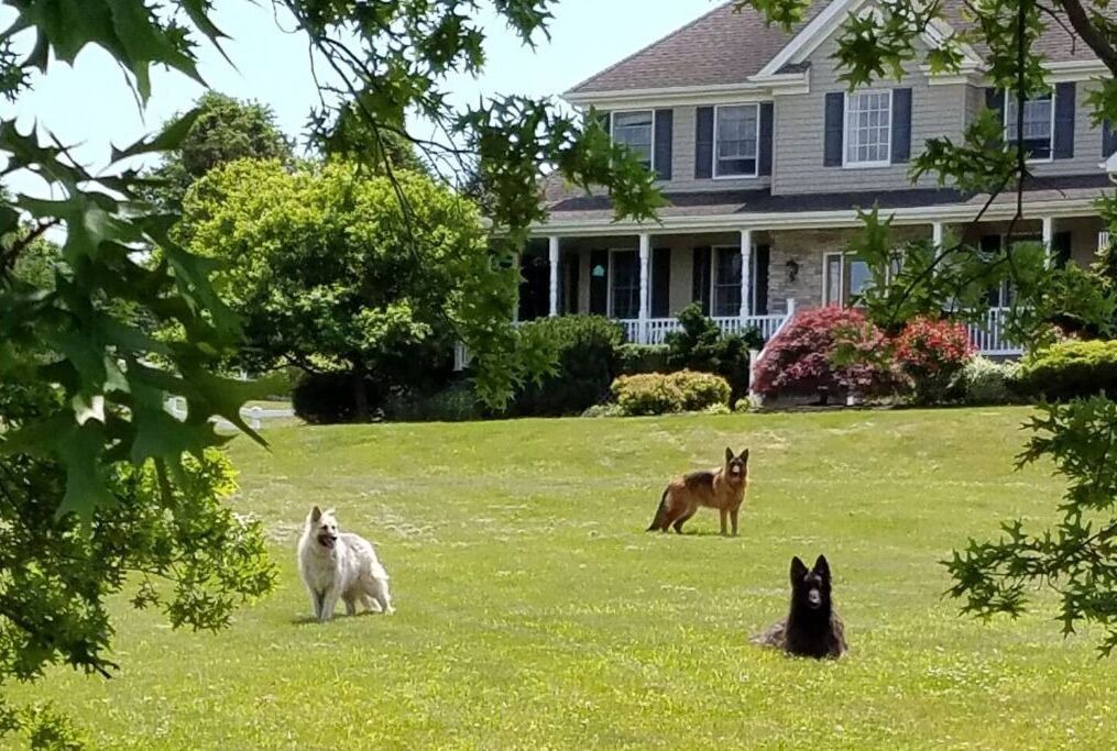 Photo of Outdoor in Cream Ridge