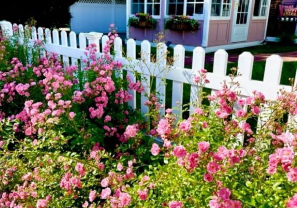 Photo of Outdoor in Old Saybrook Center