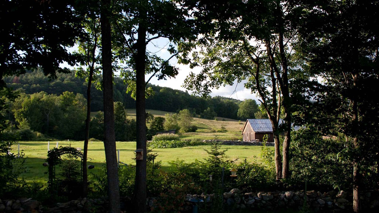 Photo of Outdoor in Chester
