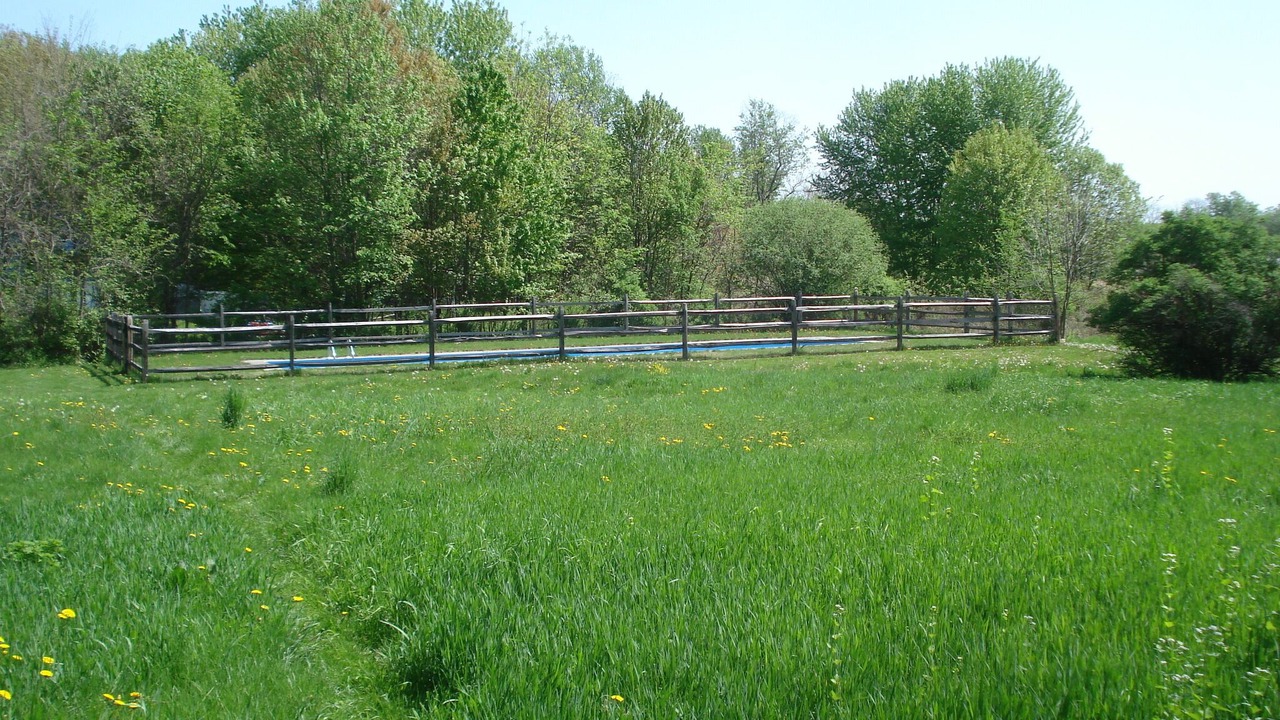 Photo of Outdoor in Stuyvesant