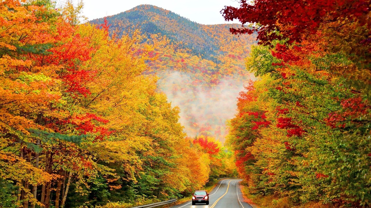 Photo of Others in North Conway