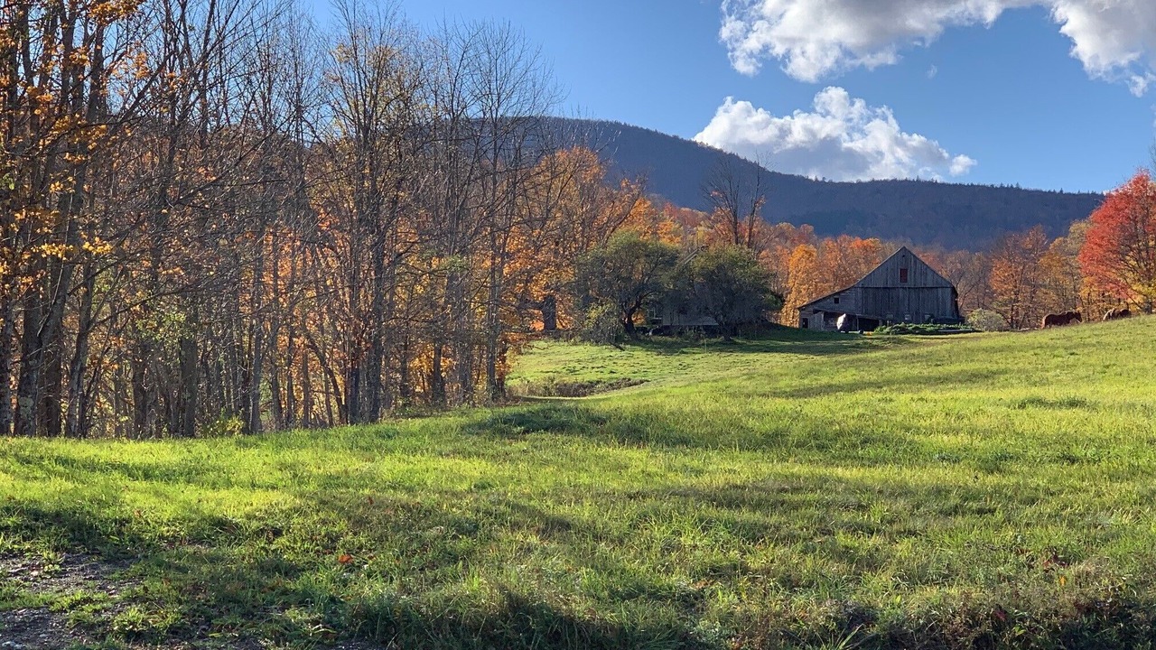 Photo of Outdoor in Braintree