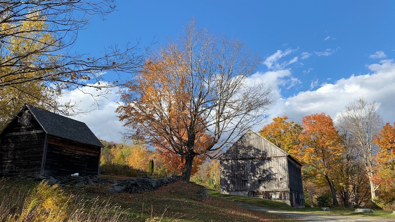 Photo of Outdoor in Braintree