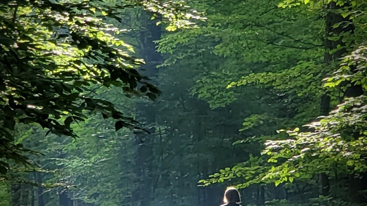 Photo of Others in Broadalbin