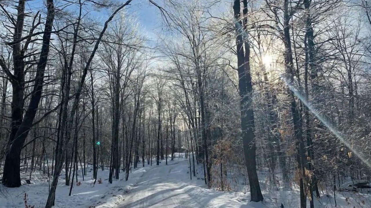 Photo of Others in Barnstead