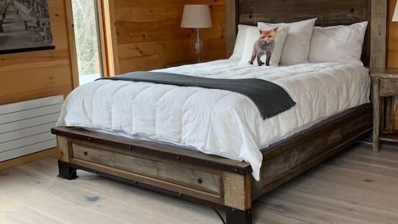 Photo of Bedroom in East Burke