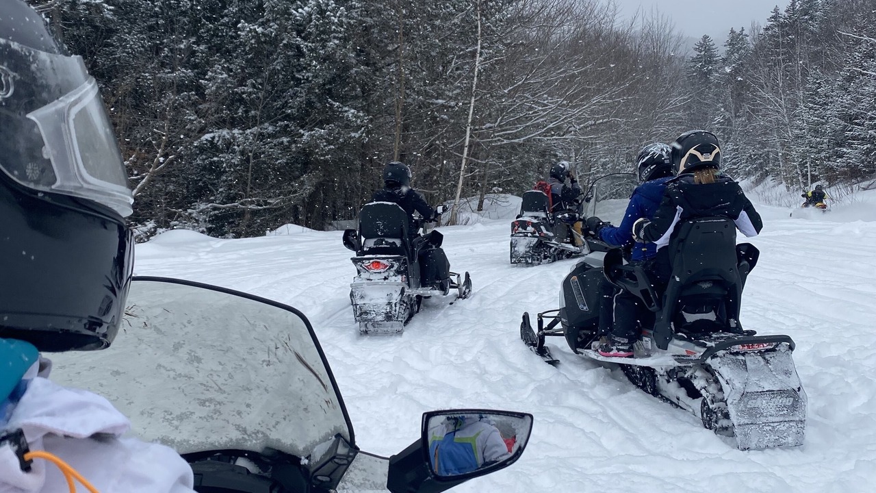 Photo of Others in Bartlett