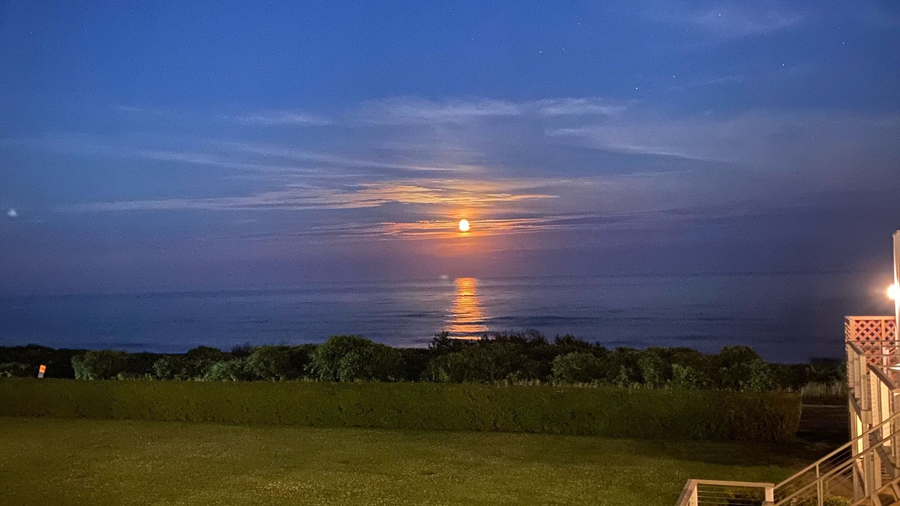 Photo of Others in Montauk