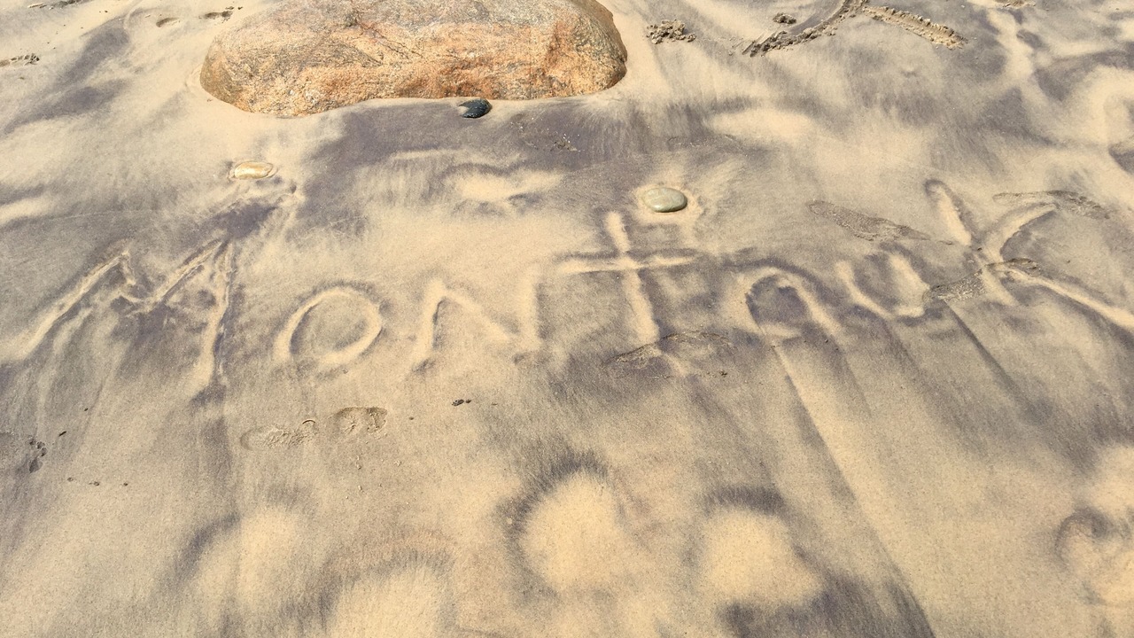 Photo of Others in Montauk