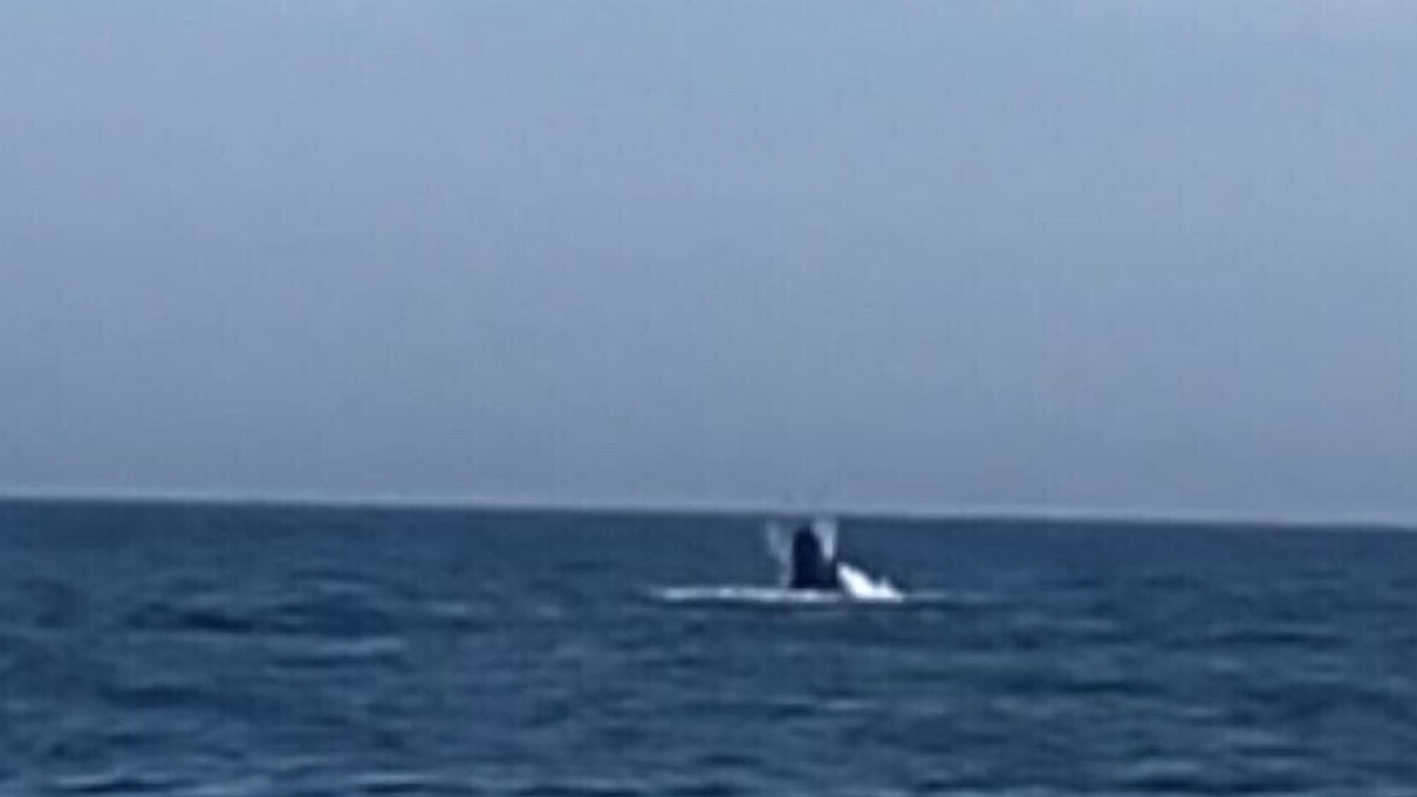 Photo of Others in Montauk